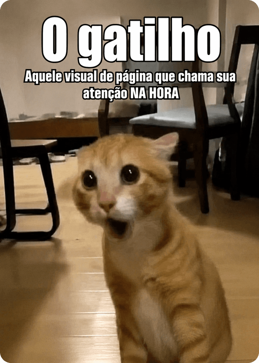 O gatilho — aquele visual de página que chama sua atenção na hora